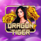 Dragon Tiger fair play casino live casino
