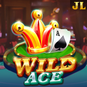 Wild Ace fair play casino slot